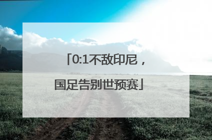 0:1不敌印尼，国足告别世预赛
