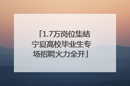1.7万岗位集结 宁夏高校毕业生专场招聘火力全开