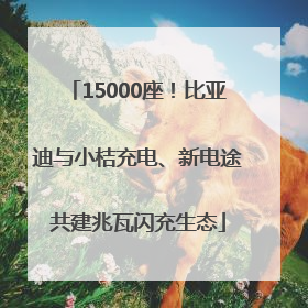 15000座！比亚迪与小桔充电、新电途共建兆瓦闪充生态