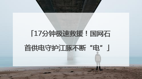 17分钟极速救援！国网石首供电守护江豚不断“电”