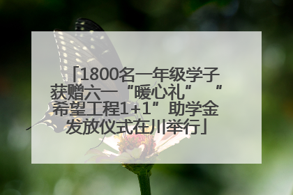 1800名一年级学子获赠六一“暖心礼” “希望工程1+1”助学金发放仪式在川举行