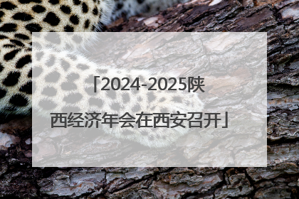 2024-2025陕西经济年会在西安召开