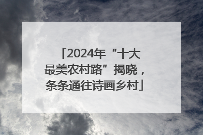2024年“十大最美农村路”揭晓，条条通往诗画乡村