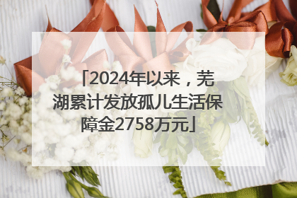 2024年以来，芜湖累计发放孤儿生活保障金2758万元
