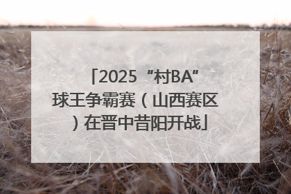 2025“村BA”球王争霸赛（山西赛区）在晋中昔阳开战