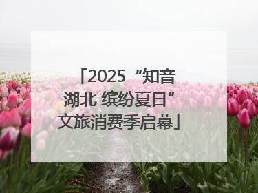 2025“知音湖北 缤纷夏日”文旅消费季启幕
