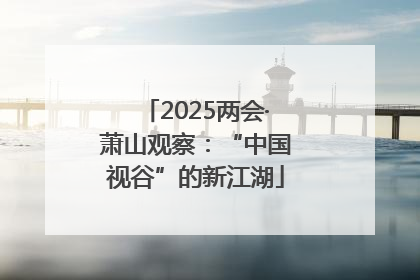 2025两会·萧山观察：“中国视谷”的新江湖
