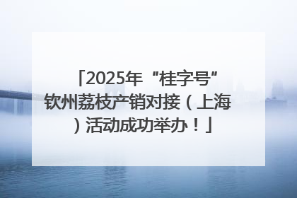 2025年“桂字号”钦州荔枝产销对接（上海）活动成功举办！