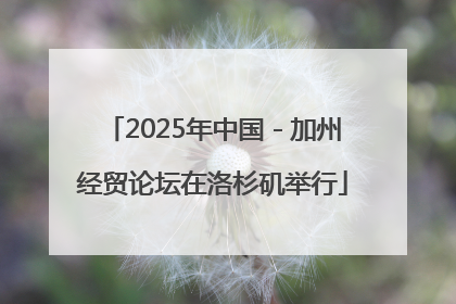 2025年中国－加州经贸论坛在洛杉矶举行
