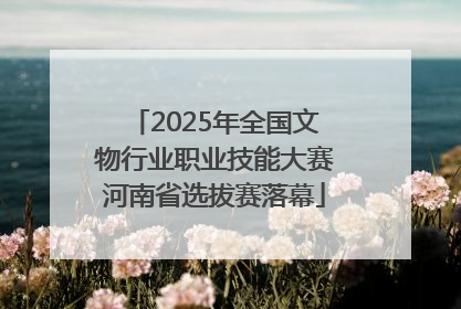 2025年全国文物行业职业技能大赛河南省选拔赛落幕