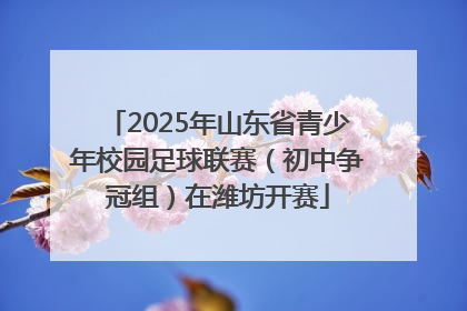2025年山东省青少年校园足球联赛（初中争冠组）在潍坊开赛