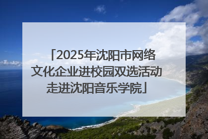 2025年沈阳市网络文化企业进校园双选活动走进沈阳音乐学院