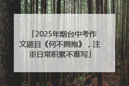 2025年烟台中考作文题目《何不拥抱》，注重日常积累不难写