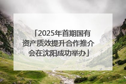 2025年首期国有资产质效提升合作推介会在沈阳成功举办