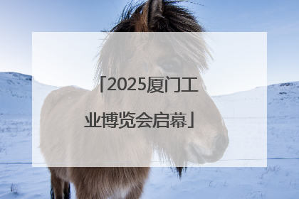 2025厦门工业博览会启幕
