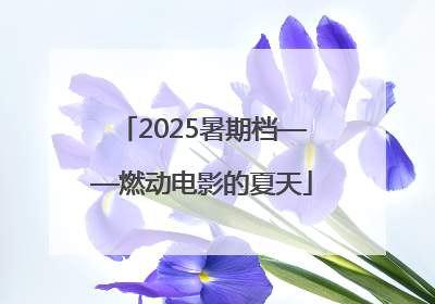 2025暑期档——燃动电影的夏天