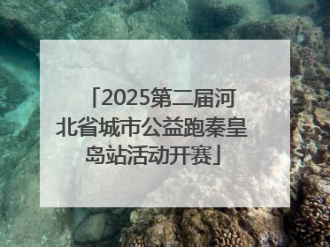 2025第二届河北省城市公益跑秦皇岛站活动开赛