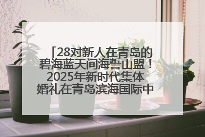 28对新人在青岛的碧海蓝天间海誓山盟！2025年新时代集体婚礼在青岛滨海国际中心文明实践广场举行