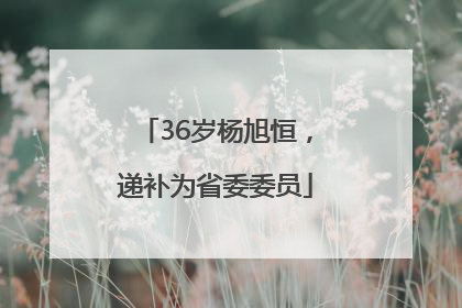 36岁杨旭恒，递补为省委委员
