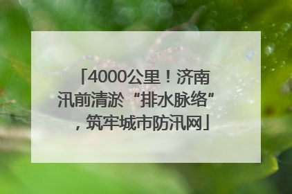 4000公里！济南汛前清淤“排水脉络”，筑牢城市防汛网