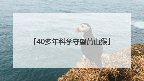 40多年科学守望黄山猴