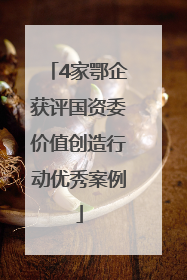 4家鄂企获评国资委价值创造行动优秀案例