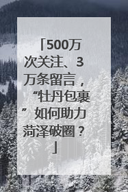 500万次关注、3万条留言，“牡丹包裹”如何助力菏泽破圈？