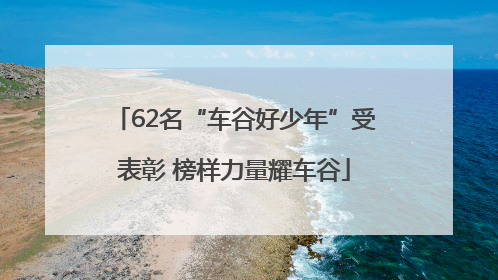 62名“车谷好少年”受表彰 榜样力量耀车谷