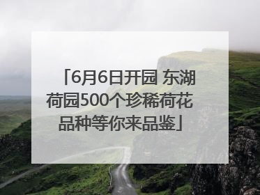 6月6日开园 东湖荷园500个珍稀荷花品种等你来品鉴