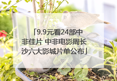 9.9元看24部中非佳片 中非电影周长沙六大影城片单公布