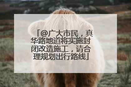 @广大市民，真华路地道将实施封闭改造施工，请合理规划出行路线