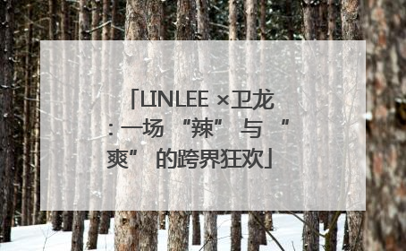 LINLEE ×卫龙：一场 “辣” 与 “爽” 的跨界狂欢