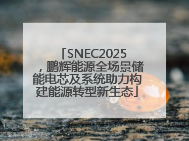 SNEC2025，鹏辉能源全场景储能电芯及系统助力构建能源转型新生态