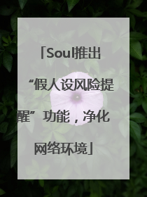 Soul推出“假人设风险提醒”功能，净化网络环境