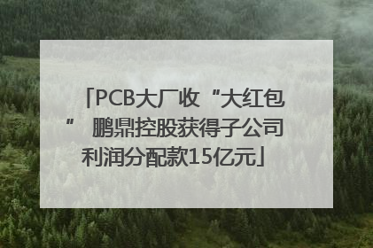 PCB大厂收“大红包” 鹏鼎控股获得子公司利润分配款15亿元